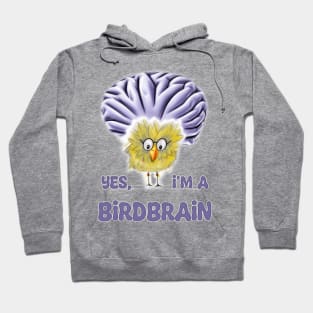 Funny Bird - Yes, I'm a Birdbrain Hoodie